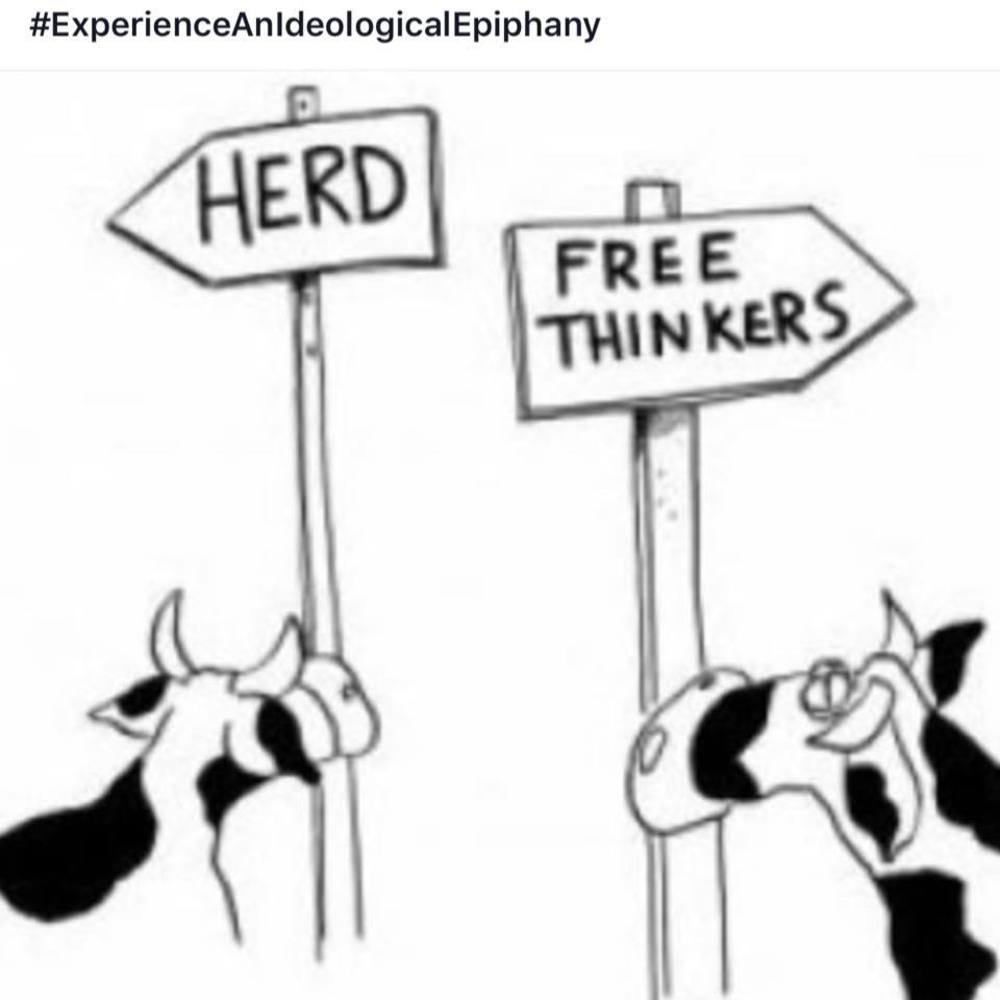 Meet your Posher, Teresa